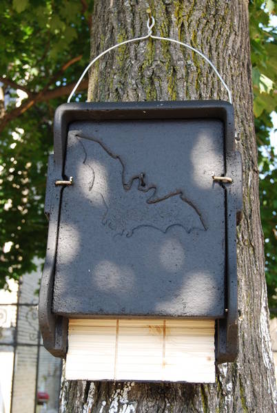 Schwegler Bat Box 1FF